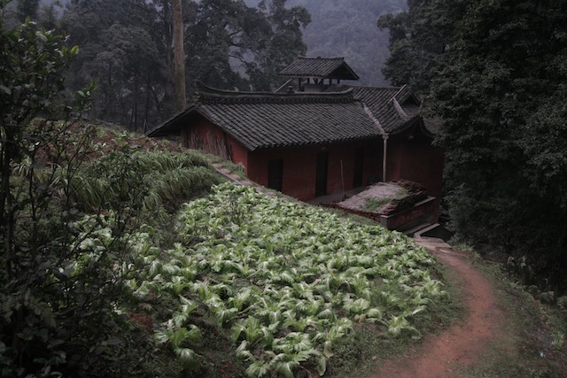 Sichuan rural 四川 13